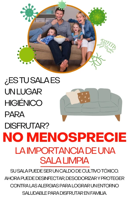 Lavado de Salas en Monterrey a Domicilio